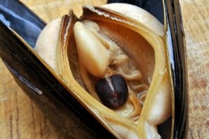 В этом ракурсе напоминает нечто другое