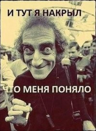 Самое милое нападение в мире: свора котят атаковала американца