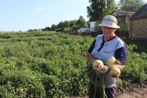 целиком,только шелуху почистить