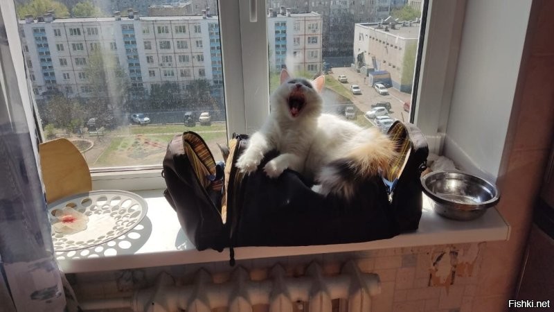 Ну, это и у меня есть)))