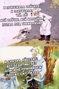 В Индии раненая обезьяна обратилась за помощью в человеческую больницу