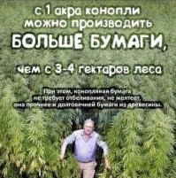 Конопля - это вообще тема хорошая.