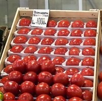 Санкт-Петербург.

Вот эти очень вкусные помидоры.
Узбекистан. 
1000 рублей 1-кг.