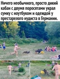 Ну это уже свинство какое-то...