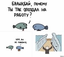 Немного юмора. Чёрного и белого