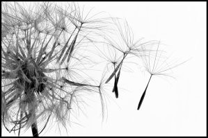 Фотоподборка