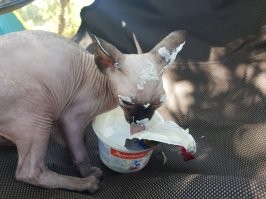 Калейдоскоп позитива. Выпуск 144