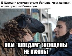 Учитывая поголовье "новых шведов" в Мальме, акция рассчитана на горАчих парней с БВ.