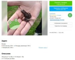 25 нелепых и смешных объявлений на Avito от очень предприимчивых людей