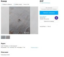 25 нелепых и смешных объявлений на Avito от очень предприимчивых людей