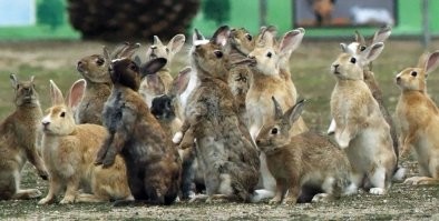 Люди, через поколение после использования "химии"...