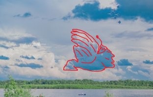 Фотоподборка