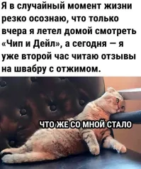 А потому что в школе надо было учиться читать, а не в телик пялиться