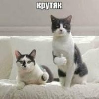 Номер 4....