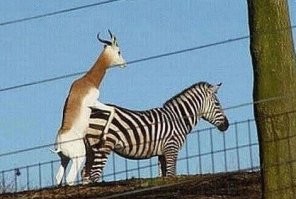На позитиве