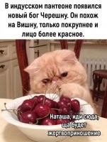 А сначала, Наташа, организуй ЖРАТВОприношение.