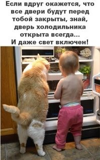 Если у тебя был в детстве такой кот, то тебе никогда не понадобится мастер Шен