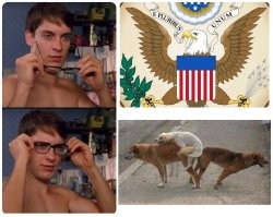 Не ищите здесь смысл. Здесь в основном маразм