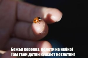 "Пол - это лава" и "Привет на сто лет": детские ритуалы, от которых щемит в душе