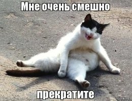 Электросамокатчик столкнулся с мотоциклистом в Петербурге