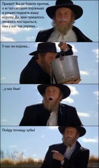 Интересные факты из жизни амишей