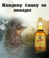 Алкопост на вечер этой пятницы