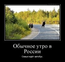 В Башкирии бурый медведь указал путнику дорогу до Уфы