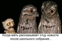 Щас папаша, по-моему, закурит...