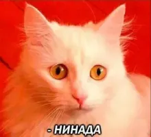 Смешные и познавательные картинки