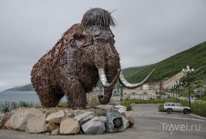 мамонт в Магадане