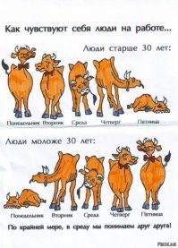 Не ищите здесь смысл. Здесь в основном маразм