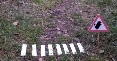 Под Новисибирском, года три назад