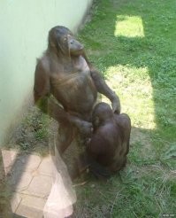 Забавные демотиваторы 