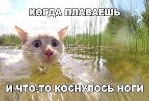 На позитиве