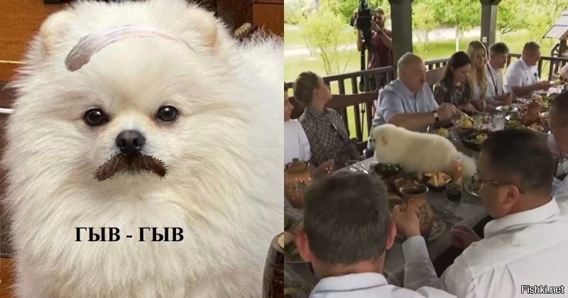 Никто и пикнуть не посмел: за обедом с чиновниками Лукашенко уложил своего пса прямо на стол
