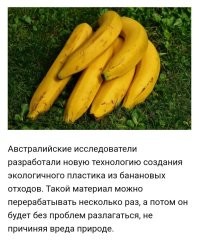 В Австралии уже давно научились делать пластик из банановых отходов.