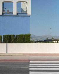 50 снимков, сделанных точно в нужный момент