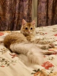 Тогда и через год.