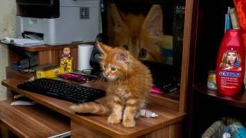 Ну вот как то так...