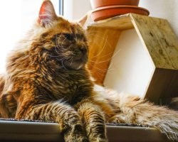 Ну вот как то так...