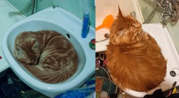 Ну вот как то так...