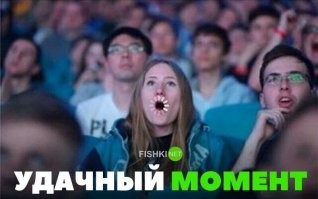 50 снимков, сделанных точно в нужный момент