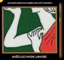 Смешные и познавательные картинки