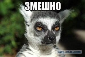 Люди, которые понимают всё слишком буквально