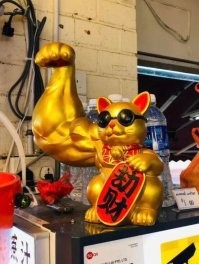 Кот-задрот.