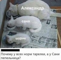 Потому что родители спалили,что Саня курил с пацанами за гаражами заставили его съесть все бычки в доме.