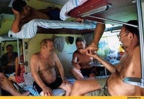 Смешные и познавательные картинки