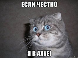 Безумное видео от кулинаров из Азии