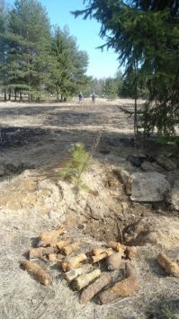 "члены береговой охраны США"
Члены охраны, члены десанта, члены спецназа... 

"Песок пляжа Омаха-Бич на 4% состоит из микроскопических фрагментов железа, оставшихся после «Дня Д»"
Сходи по грибы в район Невского пятачка... там по берегу деревья не растут... а в лесу крупного железа как в пункте приема металлолома...