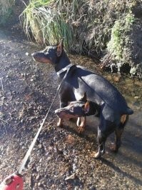 когда увидел красивую женщину